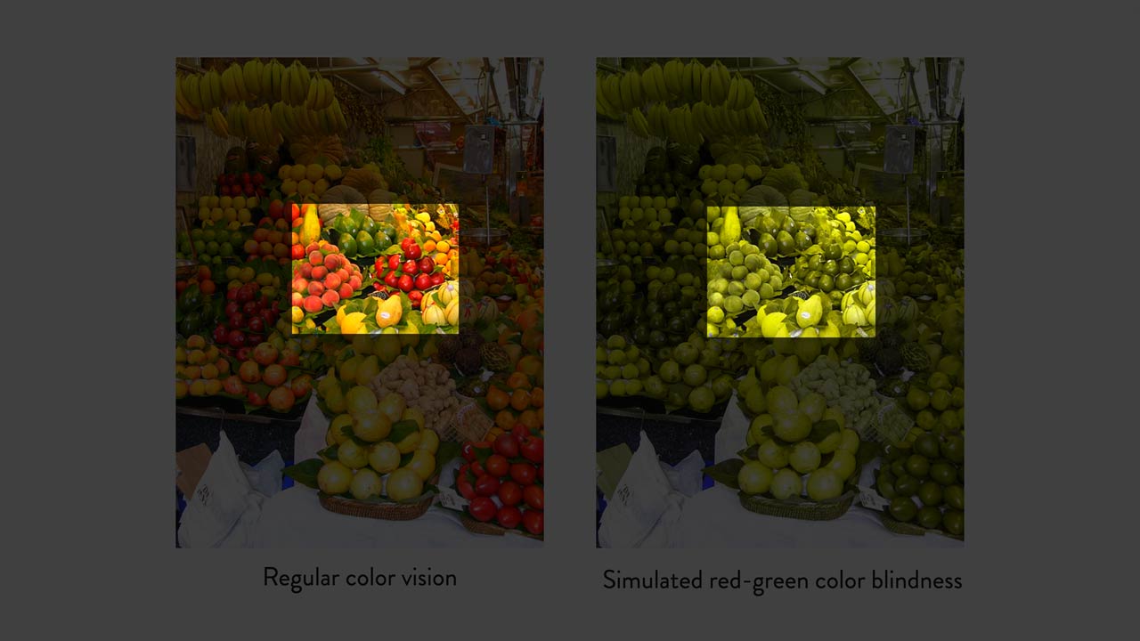 Understanding the Role of Color in Accessibility course illustration.